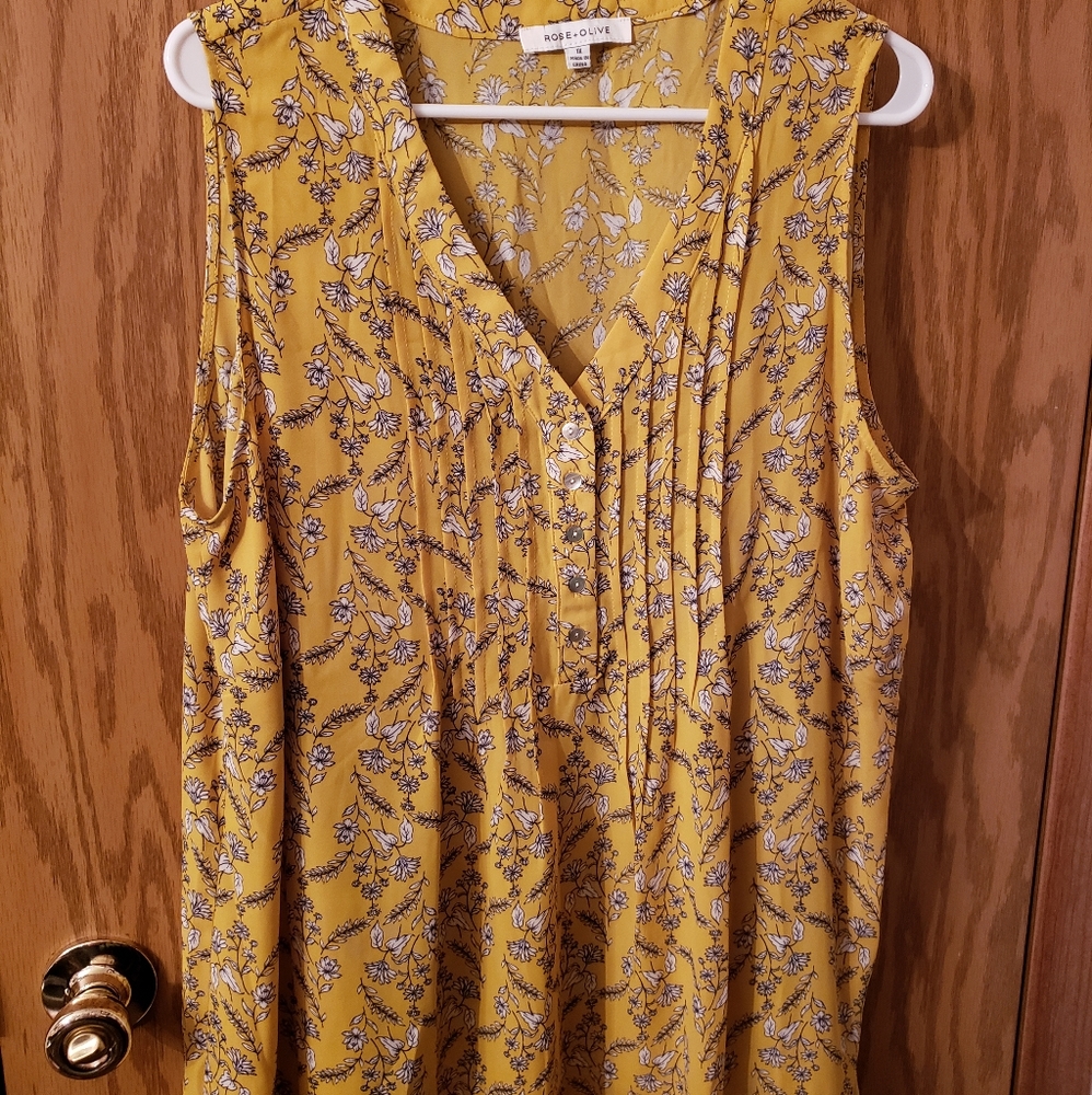 Rose + Olive Sleeveless Top Sz 1x